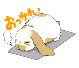 rabbit!rabbit! sticker #8471130