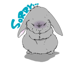 rabbit!rabbit! sticker #8471132