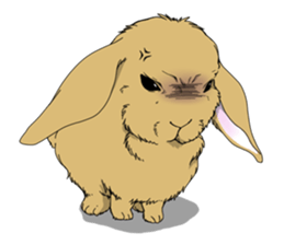rabbit!rabbit! sticker #8471135