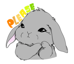 rabbit!rabbit! sticker #8471137