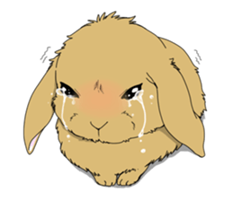 rabbit!rabbit! sticker #8471138