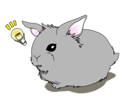 rabbit!rabbit! sticker #8471140