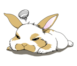 rabbit!rabbit! sticker #8471141