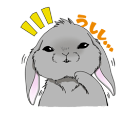 rabbit!rabbit! sticker #8471142