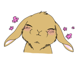 rabbit!rabbit! sticker #8471145