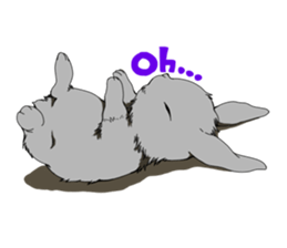 rabbit!rabbit! sticker #8471154