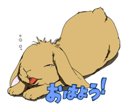 rabbit!rabbit! sticker #8471156