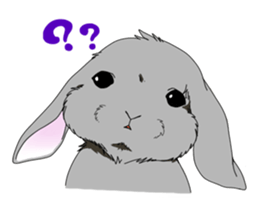 rabbit!rabbit! sticker #8471157