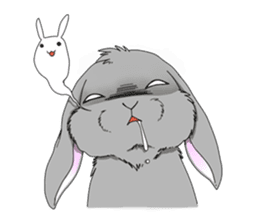 rabbit!rabbit! sticker #8471163