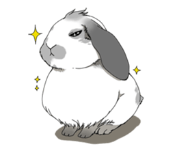 rabbit!rabbit! sticker #8471165