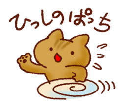 Osaka Cute Cats sticker #8472023