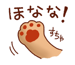 Osaka Cute Cats sticker #8472049