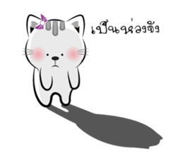 Cat-ty sticker #8474087