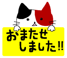 a cat who named nobu sticker #8474038
