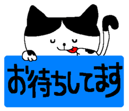 a cat who named nobu sticker #8474039