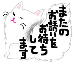 a cat who named nobu sticker #8474054