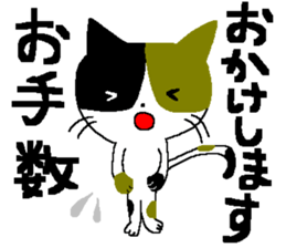 a cat who named nobu sticker #8474057