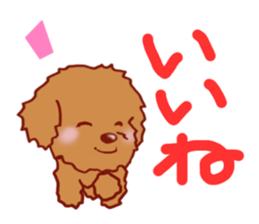 Sticker of the Toy Poodle.2 sticker #8474346