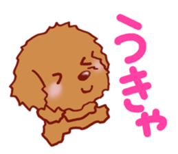 Sticker of the Toy Poodle.2 sticker #8474347