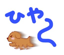 Sticker of the Toy Poodle.2 sticker #8474348