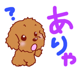 Sticker of the Toy Poodle.2 sticker #8474349