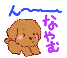 Sticker of the Toy Poodle.2 sticker #8474351