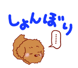 Sticker of the Toy Poodle.2 sticker #8474358