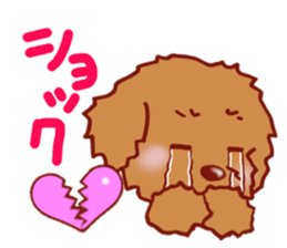 Sticker of the Toy Poodle.2 sticker #8474373