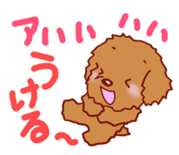 Sticker of the Toy Poodle.2 sticker #8474374