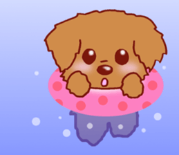 Sticker of the Toy Poodle.2 sticker #8474376