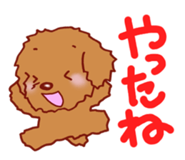 Sticker of the Toy Poodle.2 sticker #8474377