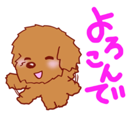 Sticker of the Toy Poodle.2 sticker #8474379
