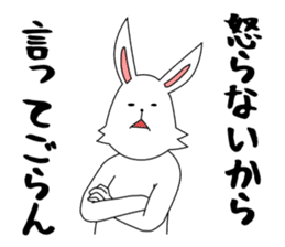 funny rabbit funny sticker #8475564