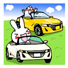 Rabbit and fish like a convertible.