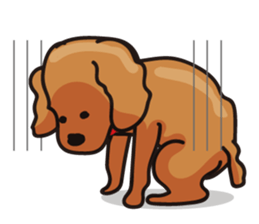 funny poodle_eng part2 sticker #8476956