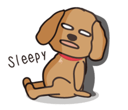 funny poodle_eng part2 sticker #8476958