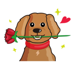 funny poodle_eng part2 sticker #8476960