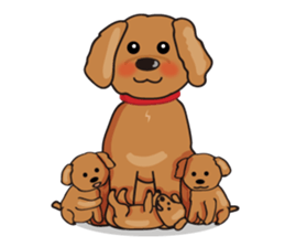 funny poodle_eng part2 sticker #8476980