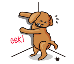 funny poodle_eng part2 sticker #8476981