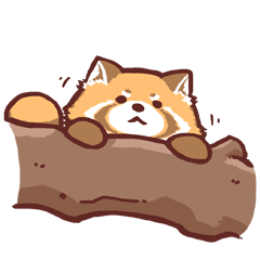 Red Panda Sticker By Tkpon Red Panda Sticker By Tkpon