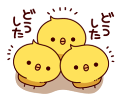 Active chick sticker #8477490