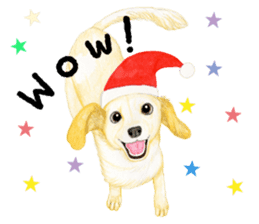 Dog sticker ! sticker #8478170