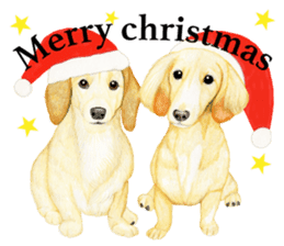 Dog sticker ! sticker #8478177