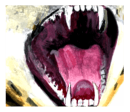 zoom up animal sticker #8480667