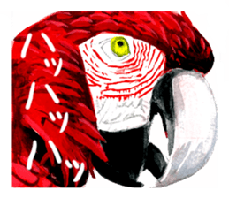 zoom up animal sticker #8480672