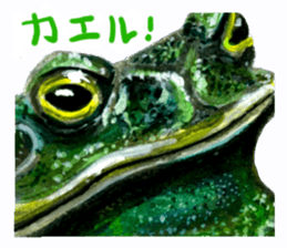 zoom up animal sticker #8480673