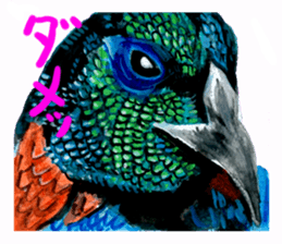 zoom up animal sticker #8480675