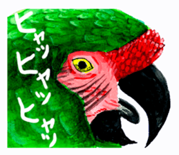 zoom up animal sticker #8480676