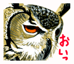 zoom up animal sticker #8480678