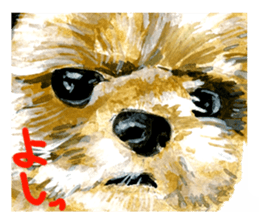 zoom up animal sticker #8480679